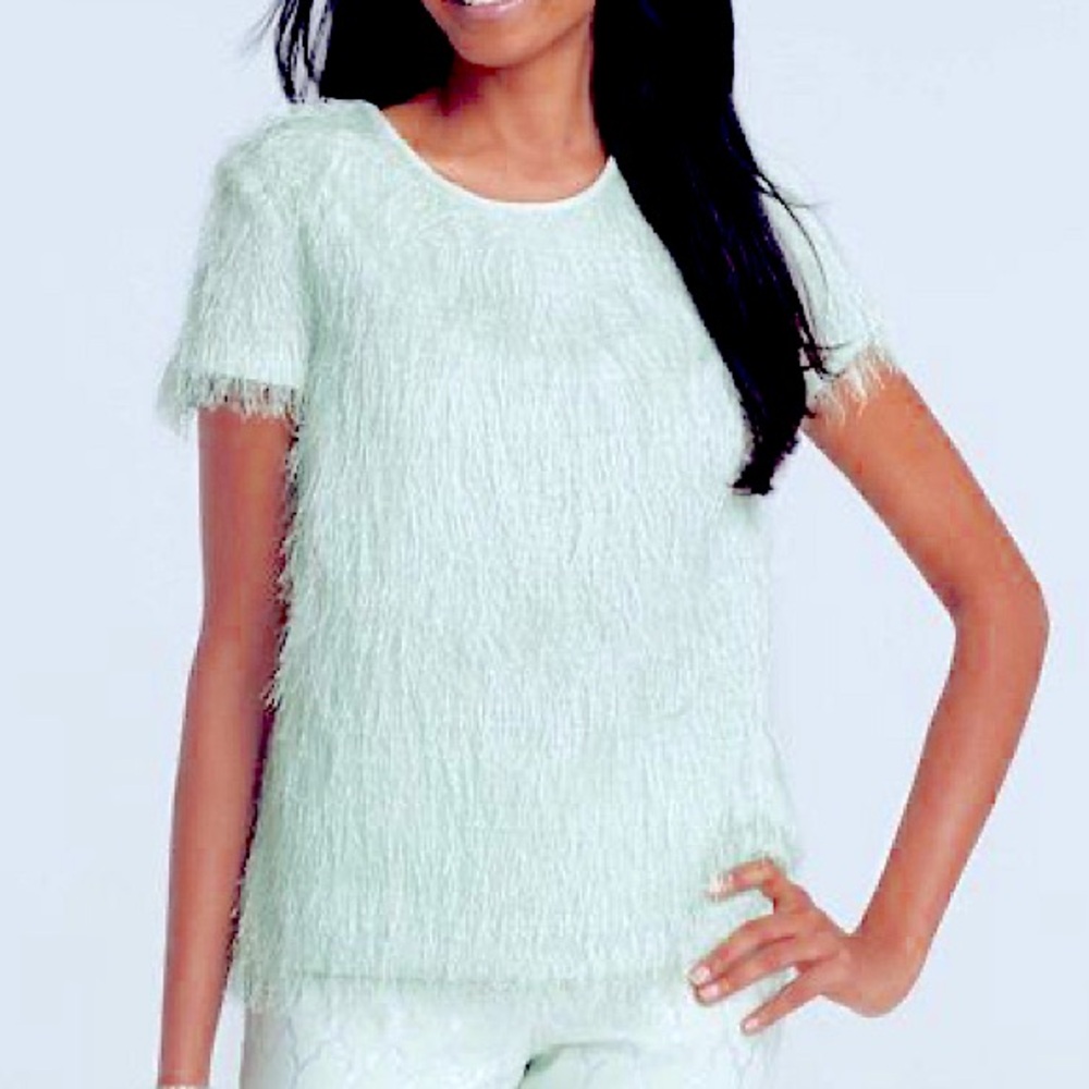 Ann Taylor Peptite Feathered Short Sleeve Light Green Mint Top for Women Size 0P